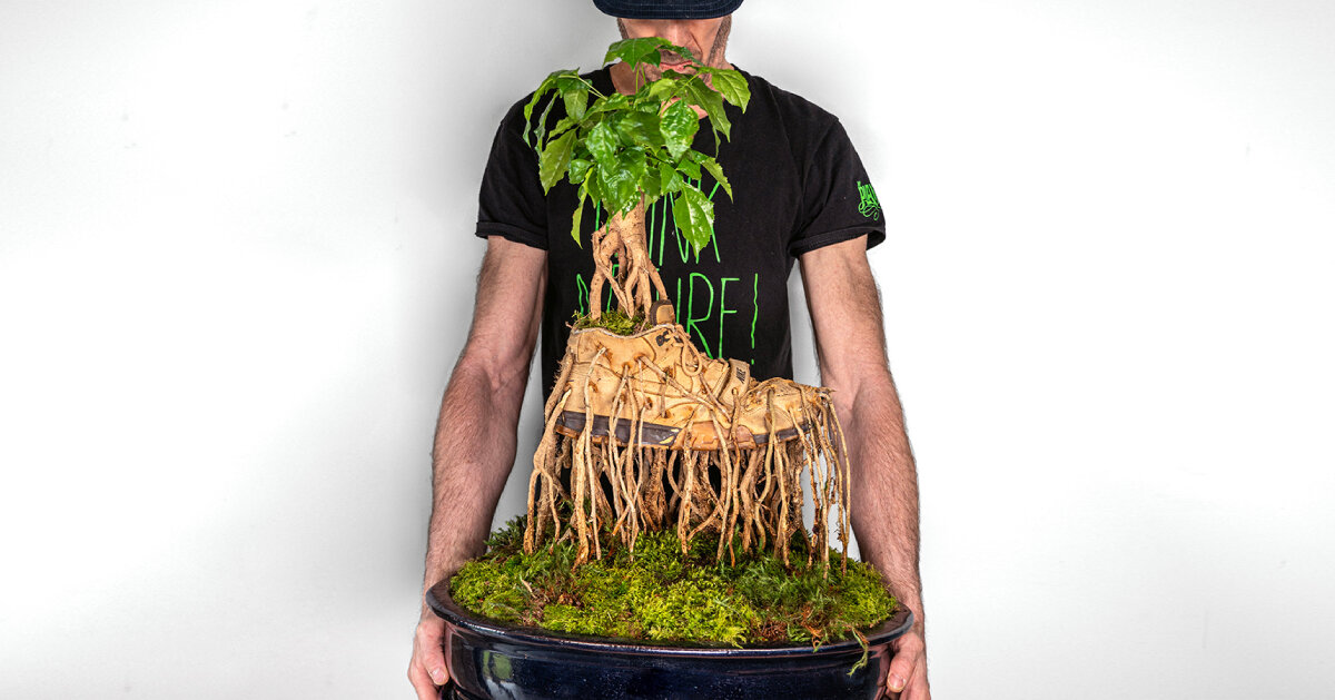 bonzai-sneakers-monsieur-plant 