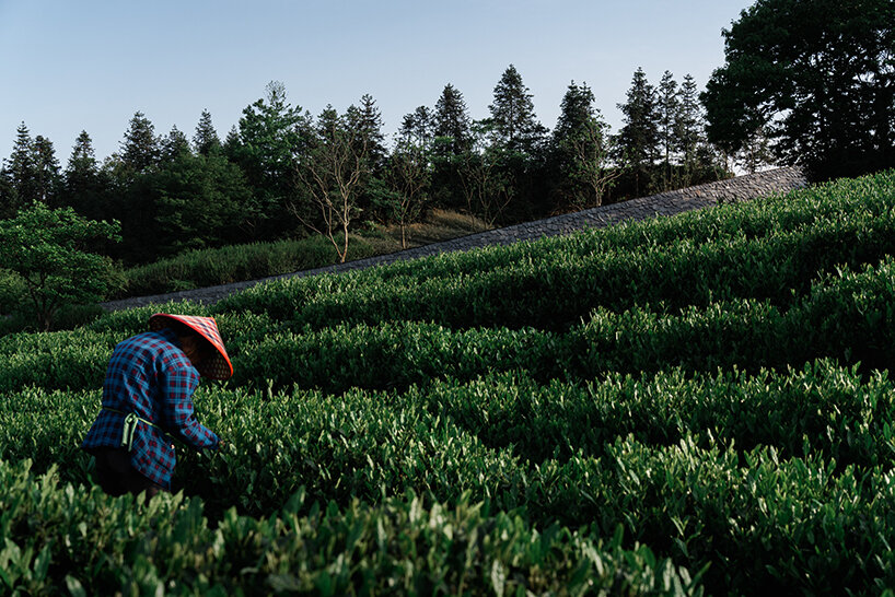 rooted in Xiayanbei's cultural heritage and natural landscape | image by line+ studio