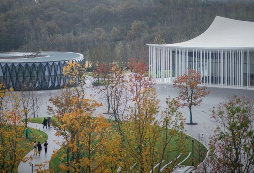 image by Liang Wenjun