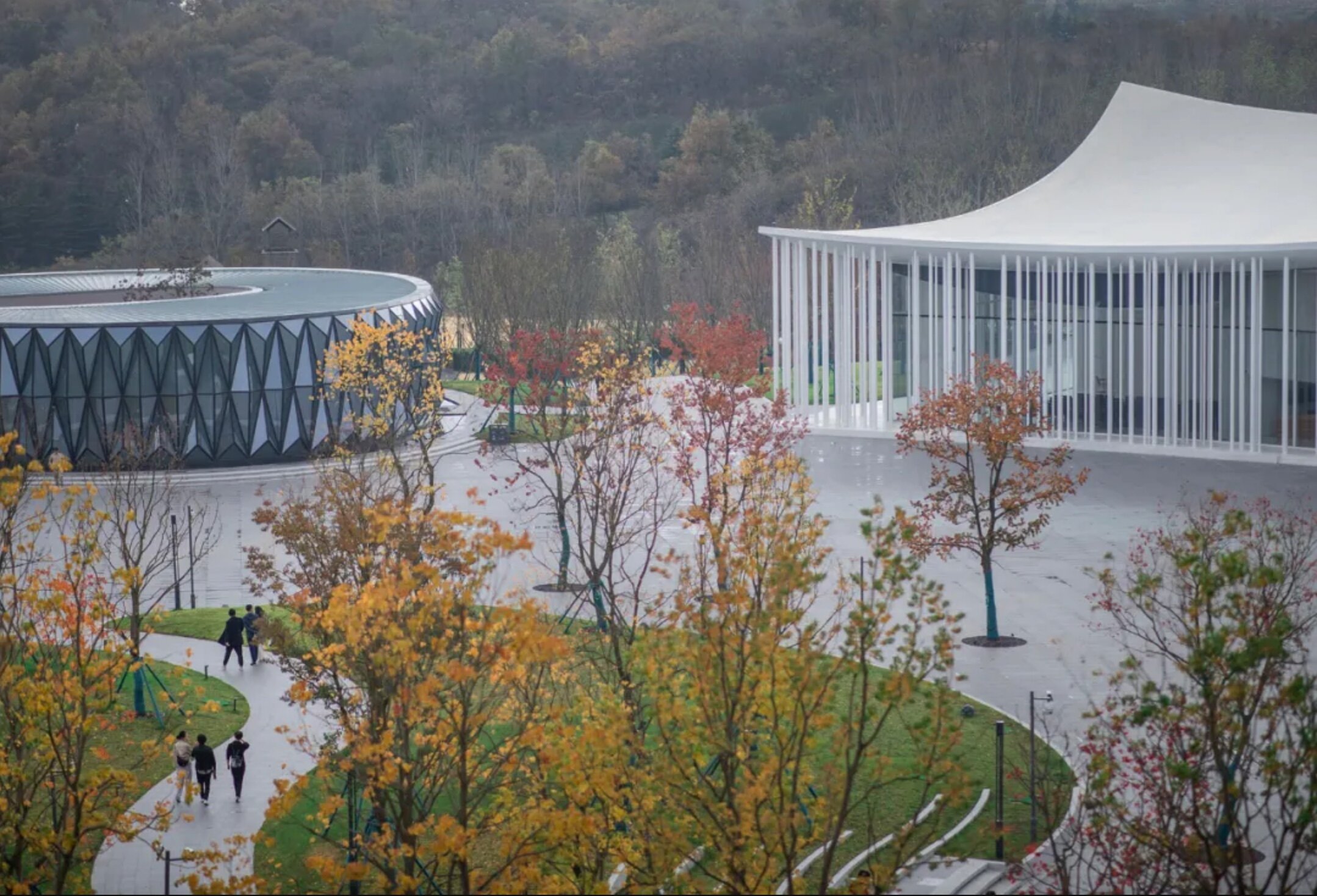 image by Liang Wenjun