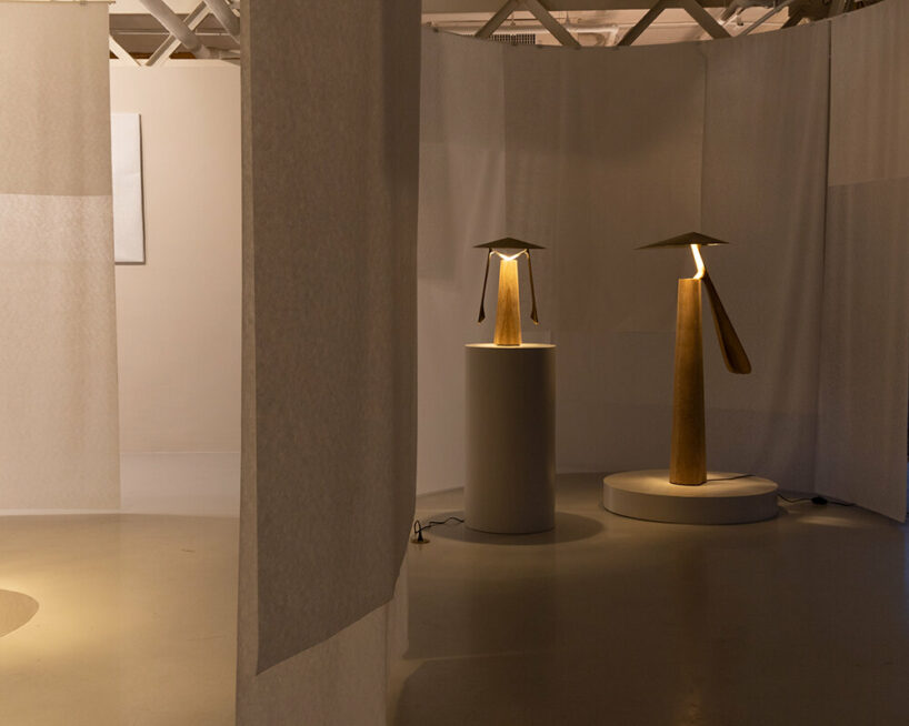 federico stefanovich