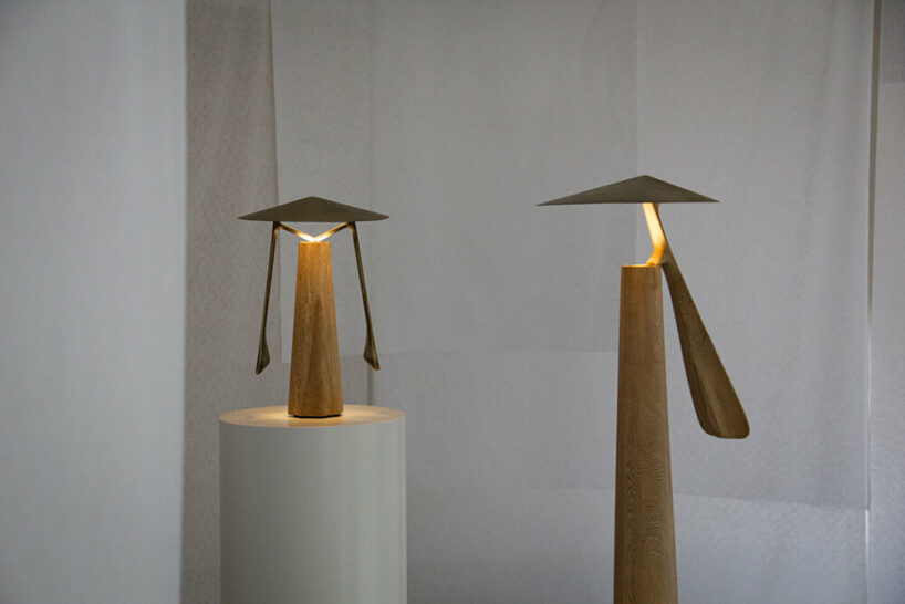 federico stefanovich