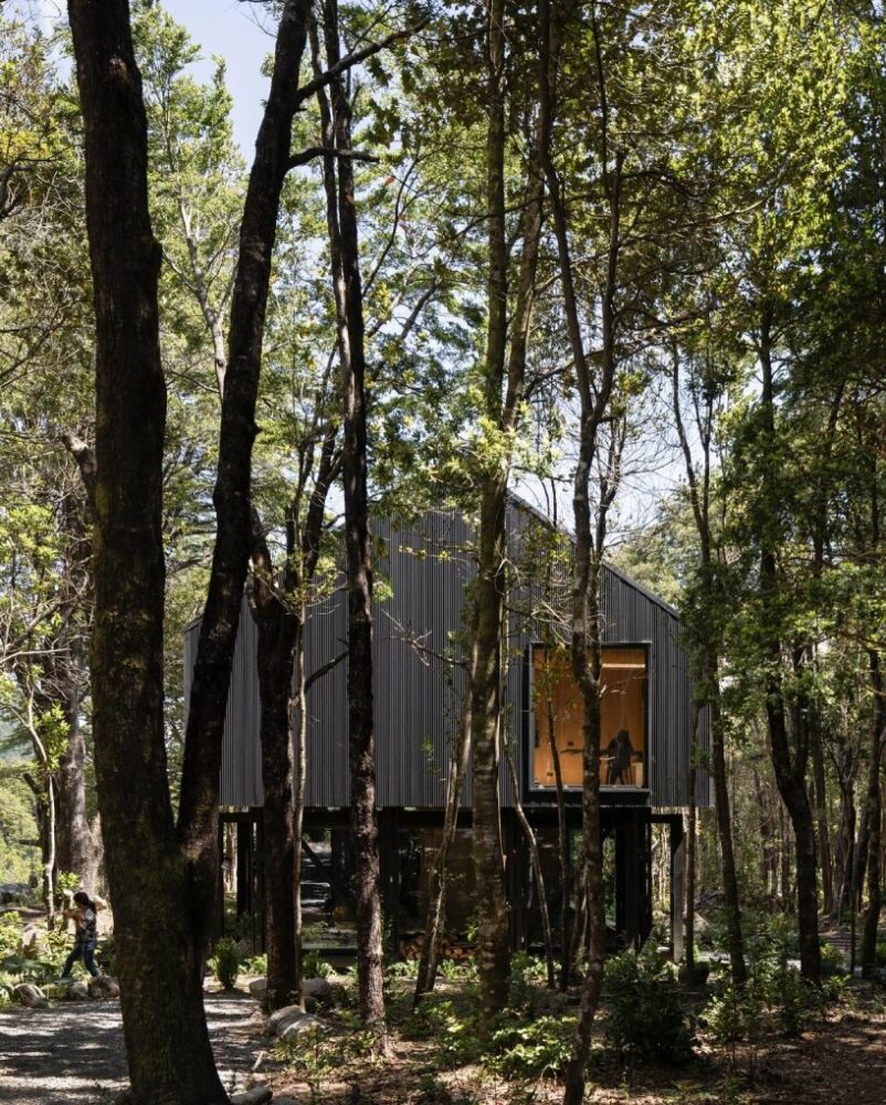 transparent below and sheltered on top, Eugenio Simonetti's KW house sits amid forest in chile