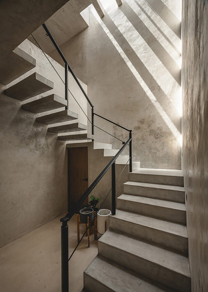 interior spaces are designed around the existing trees