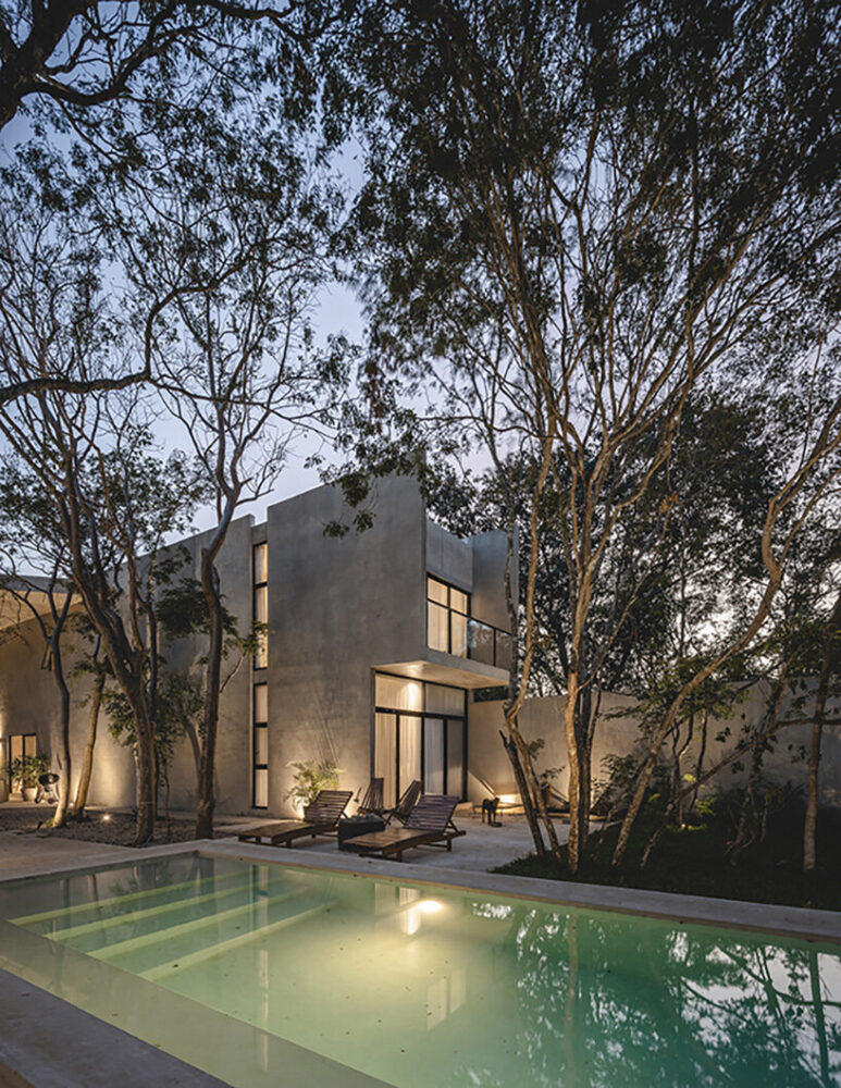 Casa Zen preserves 45 endemic trees