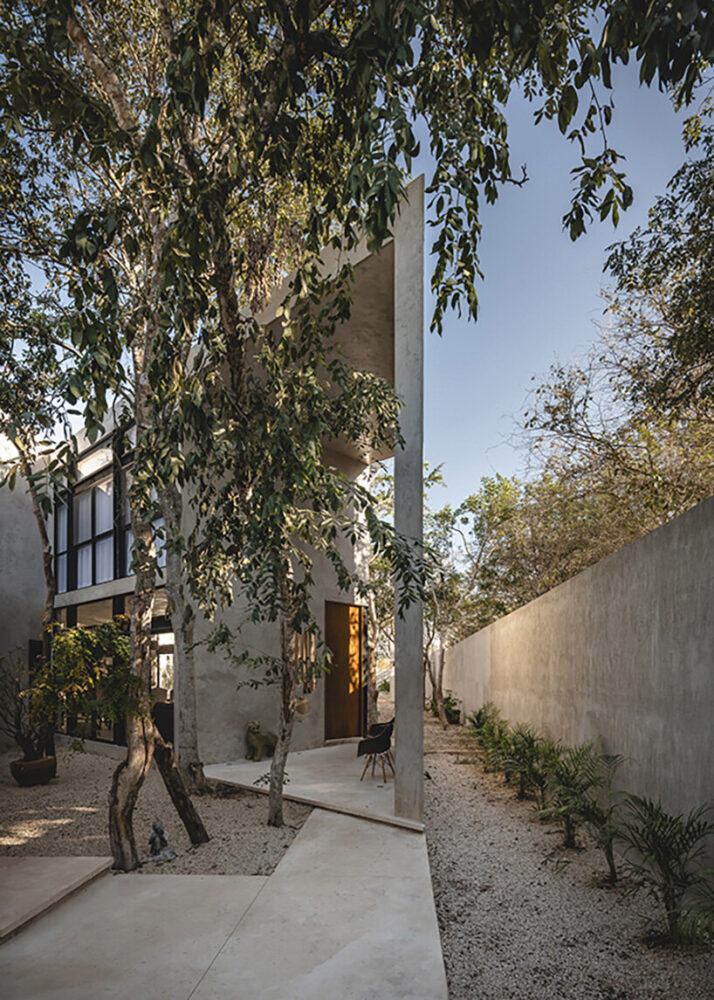 creating a serene environment for family living and yoga practice