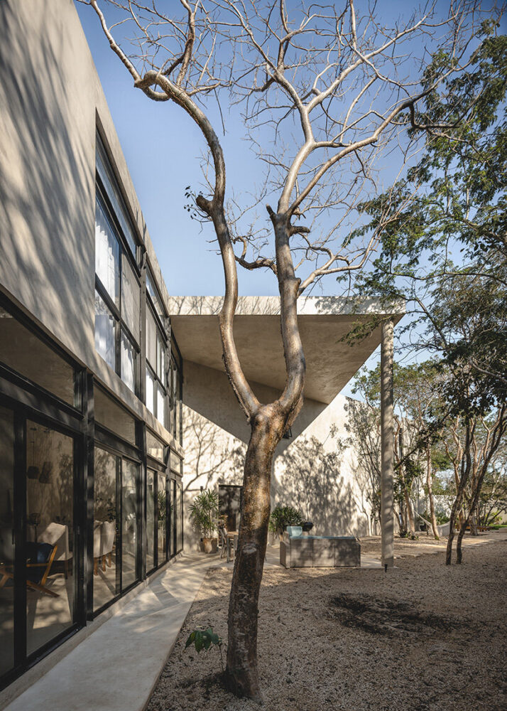 Casa Zen’s concrete walls blend with the natural landscape