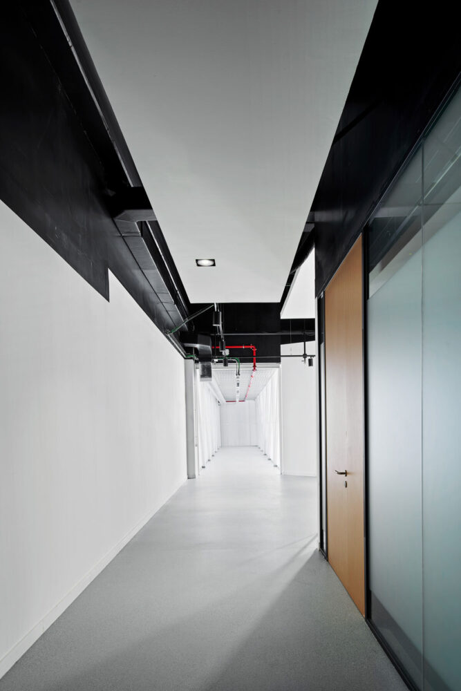 black ceilings contrasted by white surfaces reflect daylight from large polycarbonate windows