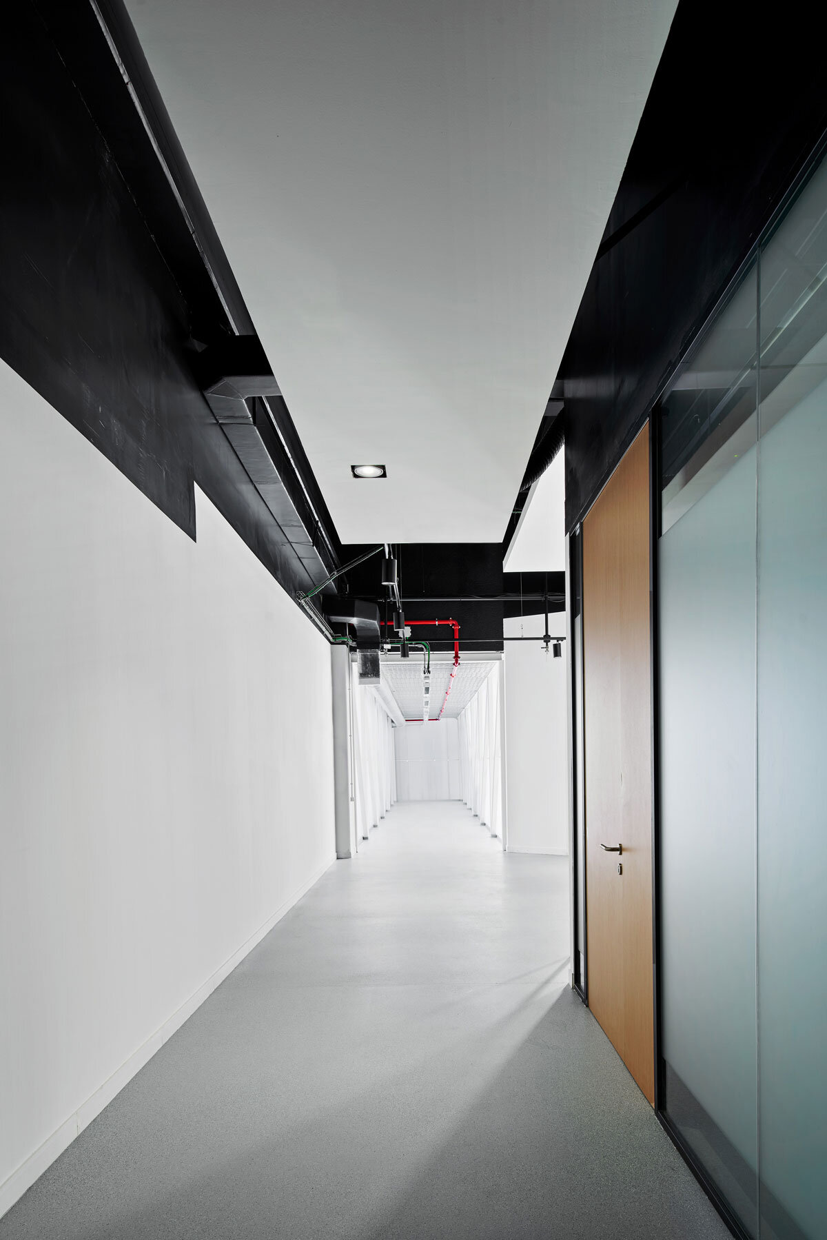 black ceilings contrasted by white surfaces reflect daylight from large polycarbonate windows
