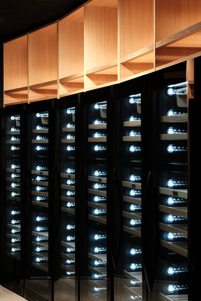 image © Jenny Kallio