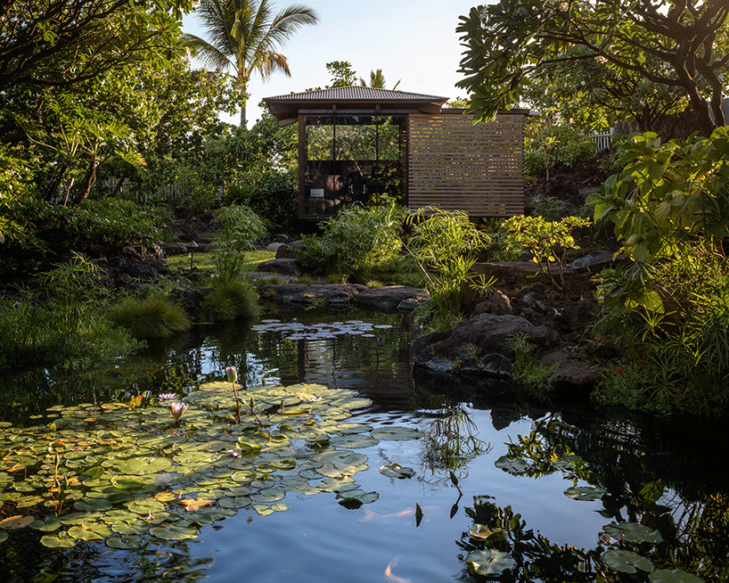 olson kundig hawaii office