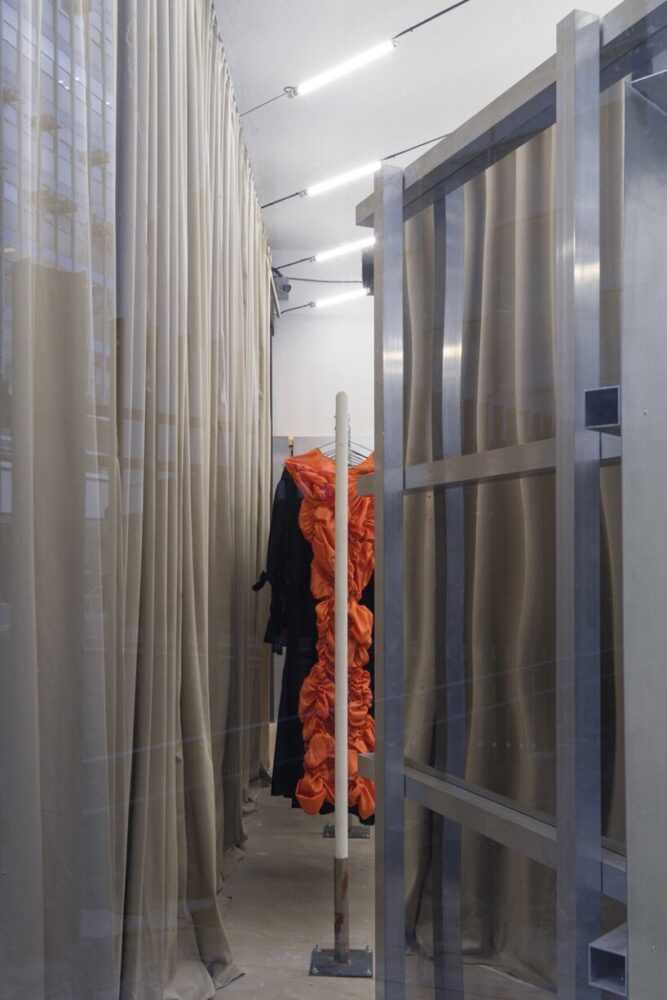 image by ©️ Javier Agustin Rojas