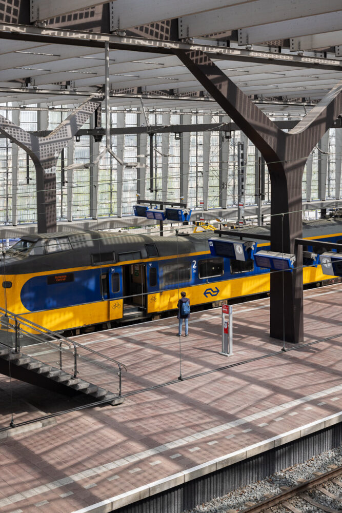 sunlight filters through the roof's structural elements