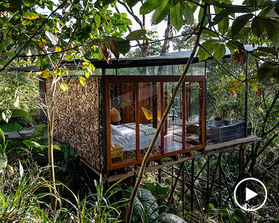 repurposed metal pipes elevate bamboo lodge emerging from ecuadorian rainforest