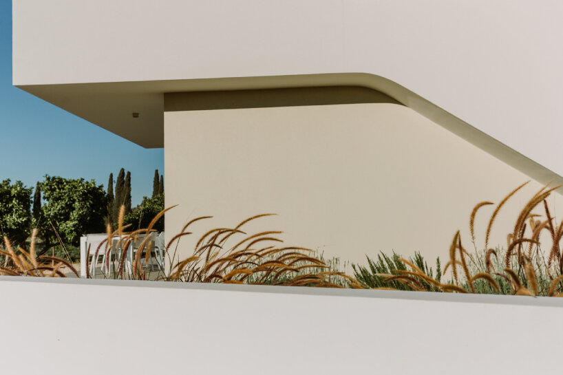 cypress-lined landscape embraces versa architecture's villa JJ in cyprus