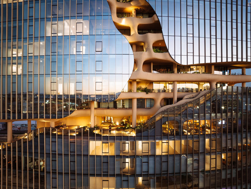 image © Parrish Ruiz de Velasco