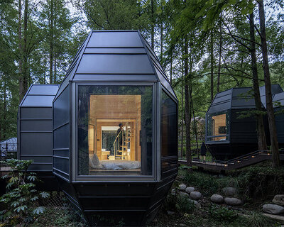 GLA design elevates detached hotel cabins amid towering trees in chinese forest