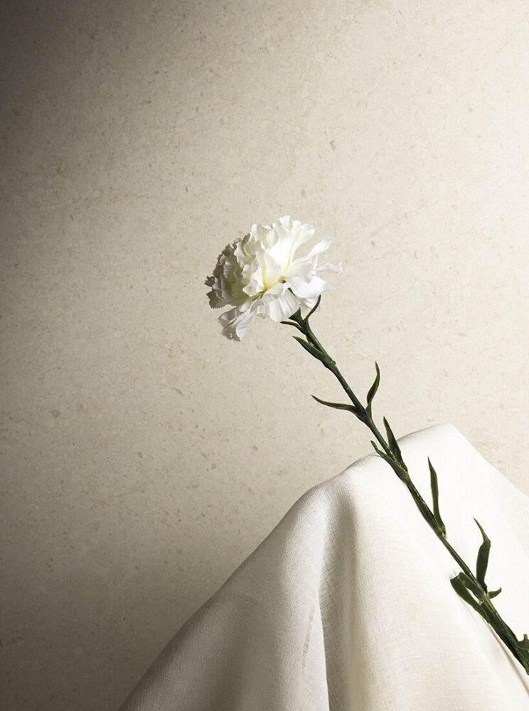 Moon Cream Natural Plus finish