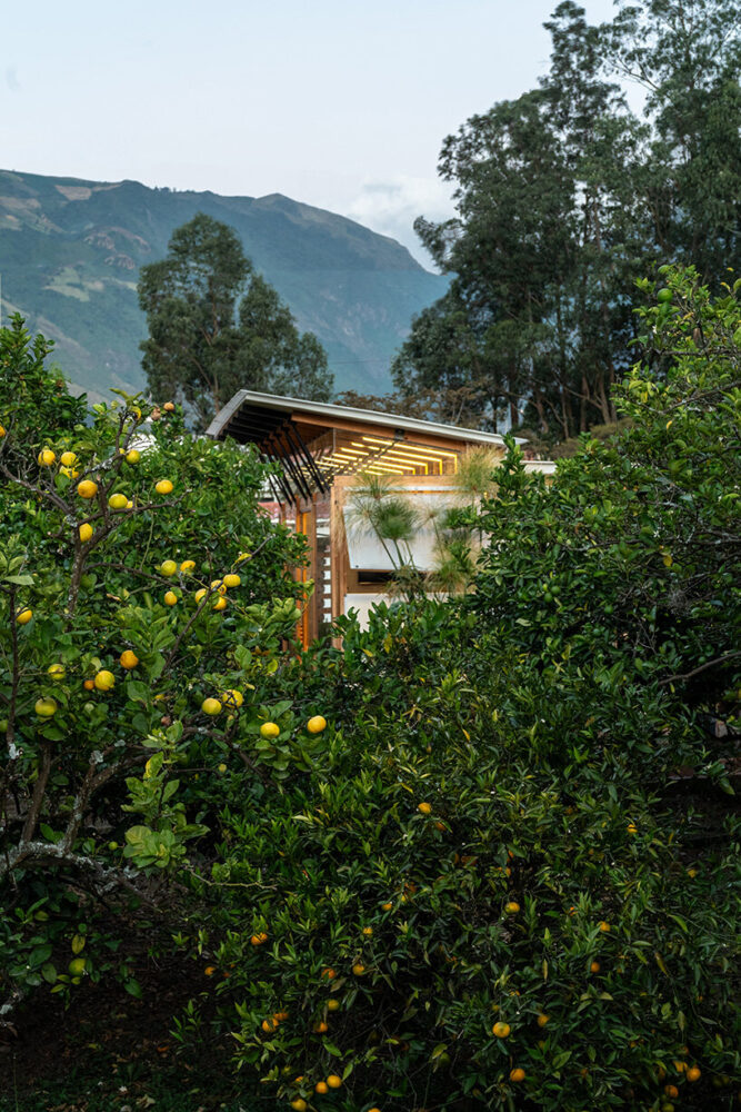 utilizing solar orientation to enhance thermal comfort