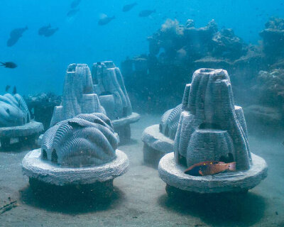 resting reef blends pet ashes with crushed shells for sustainable underwater urns