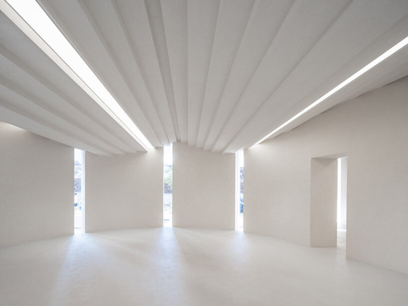 image © Fangfang Tian