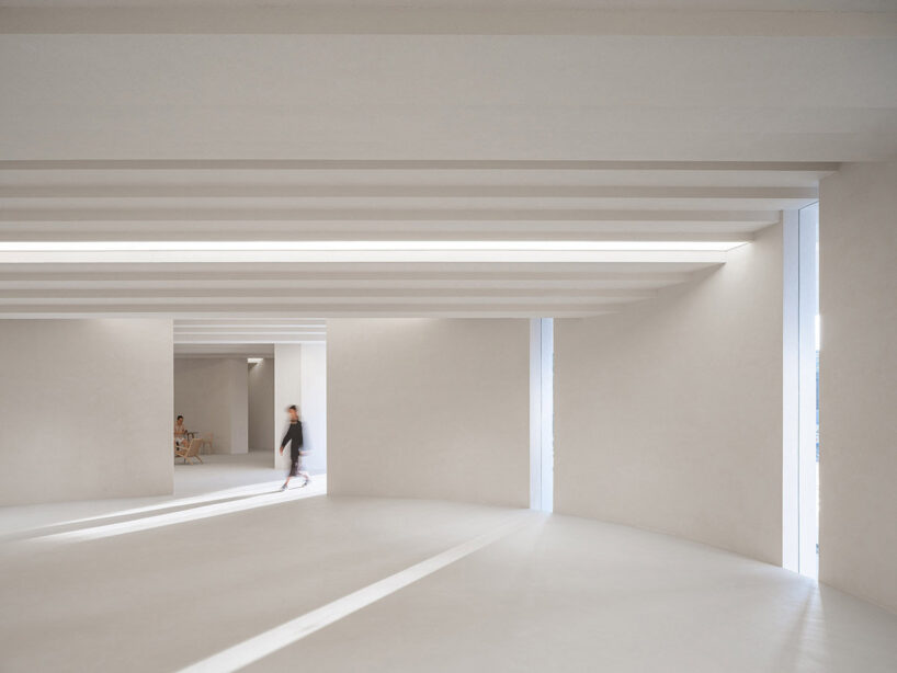 image © Fangfang Tian