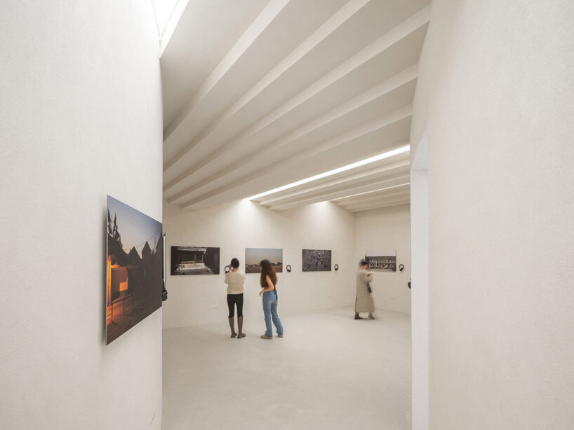 image © Fangfang Tian