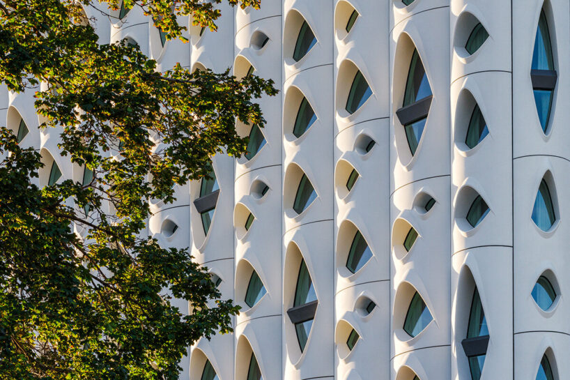 image © Jason O'Rear