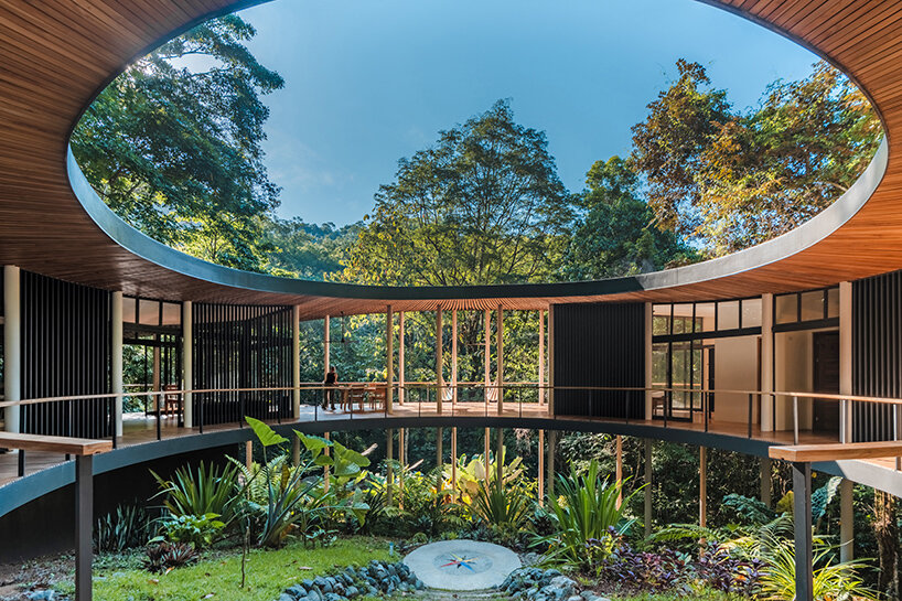 sinfonia verde studio saxe