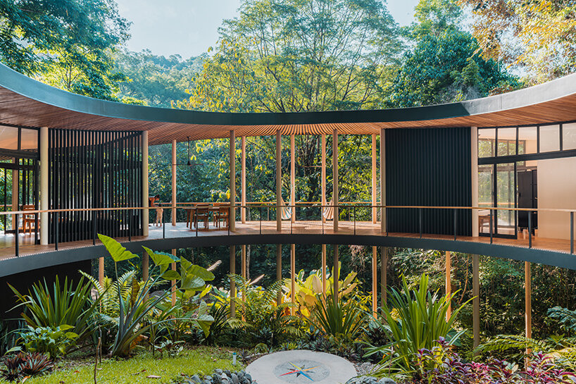 sinfonia verde studio saxe