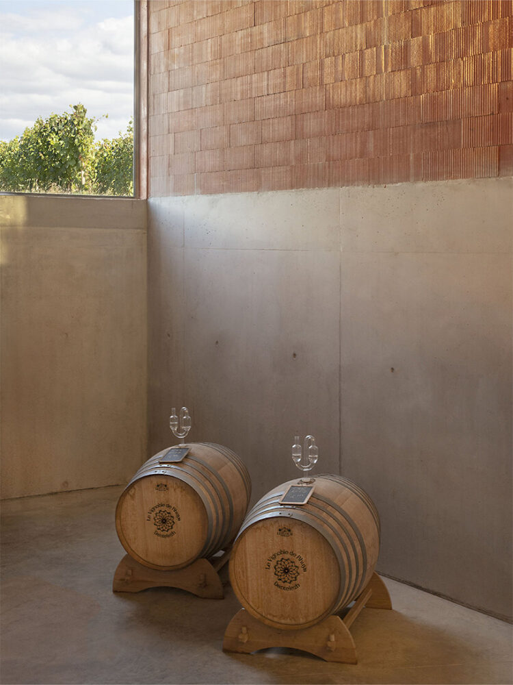 the wine cellar invites visitors to discover the history of the vineyards in Sarzeau