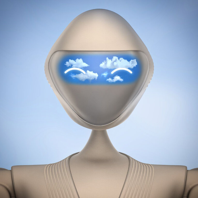 front view of the cyborg