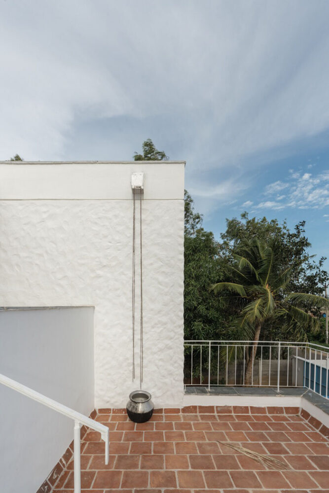 a white east-facing wall doubles as a canvas for shadows cast by coconut trees