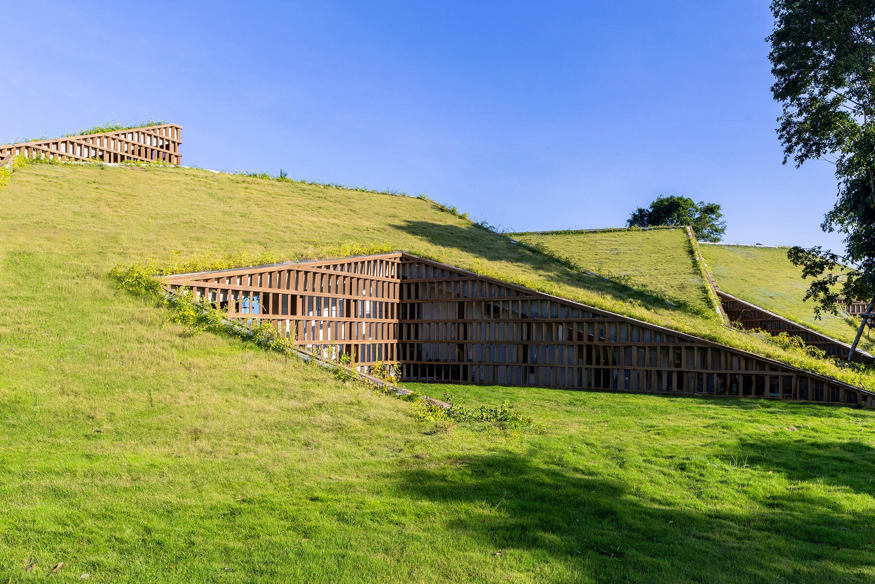 cascading-gardens-open-hilltop-spaces-mia-design-studio-vietnam-11-27-2024-designboom-1800-03