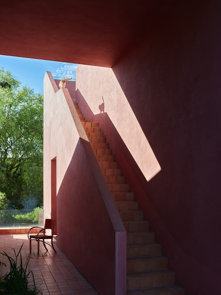 the natural tones of bricks, cement paths, and seasonal plants weavε the built environment within the landscape