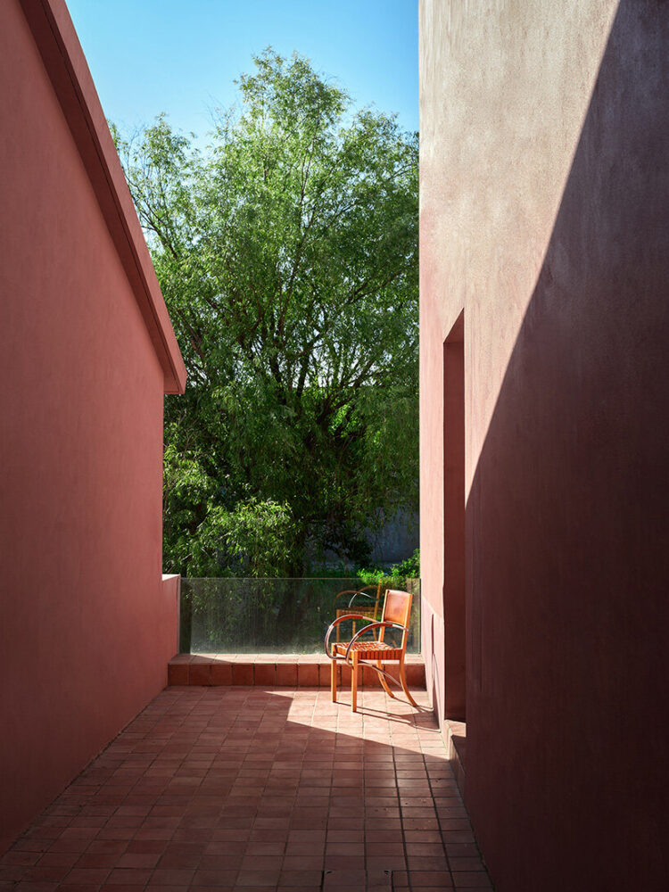 intricate shadow patterns enhance the tranquil atmosphere