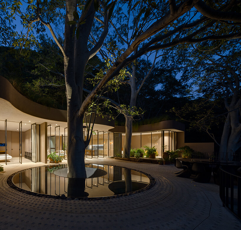interior courtyards around existing trees to let natural light inside and improve ventilation