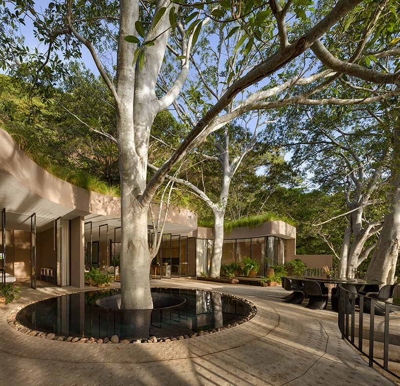 MCxA Group balances the steep slope and modest facade of the site with the need for resource efficiency