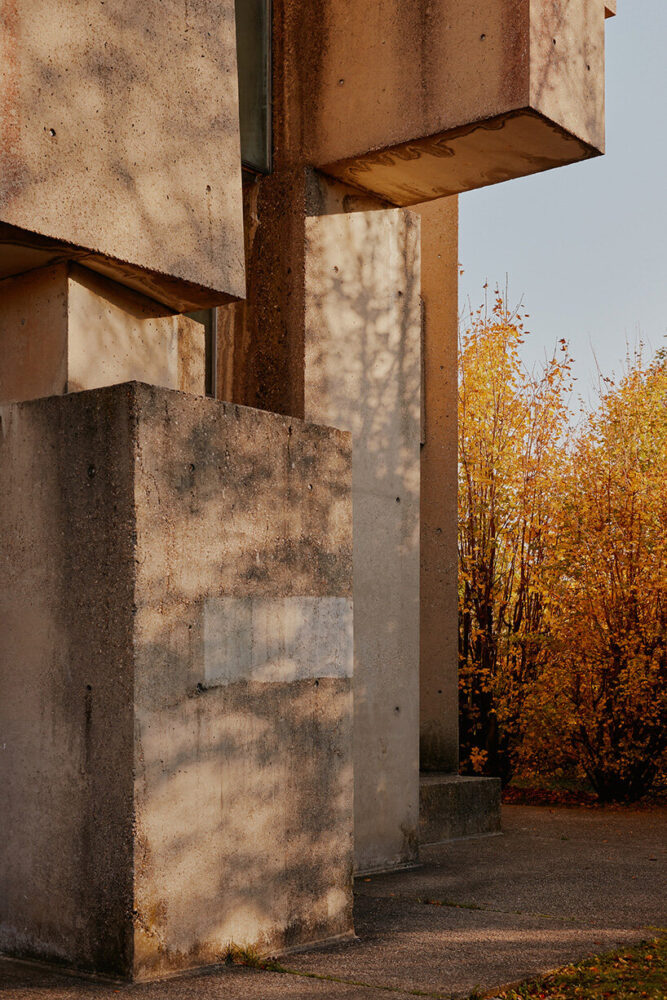 light and shadow interplay animates the otherwise sparse environment