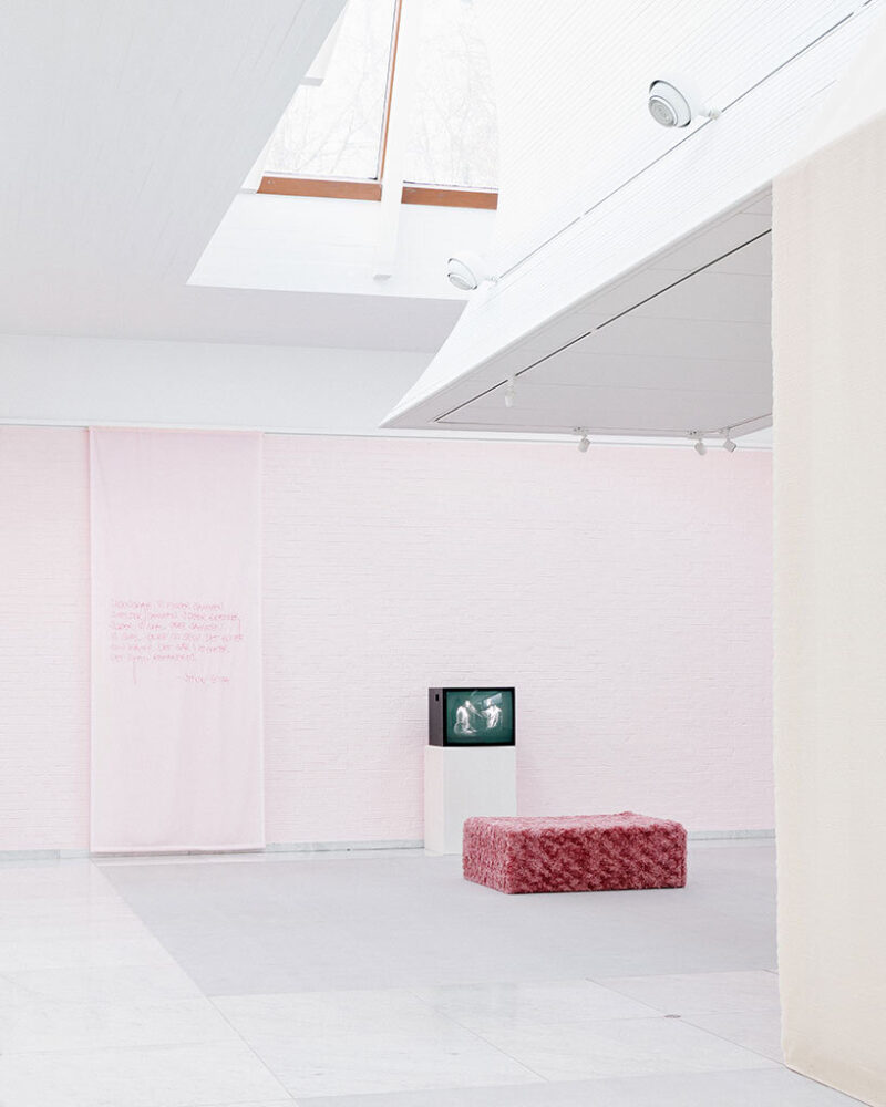 to deepen the personal connection, Goya includes embroidered descriptions of her interpretations