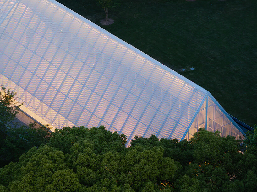 during construction, the team adapted the design to accommodate wildlife | image by Ye Jianyuan