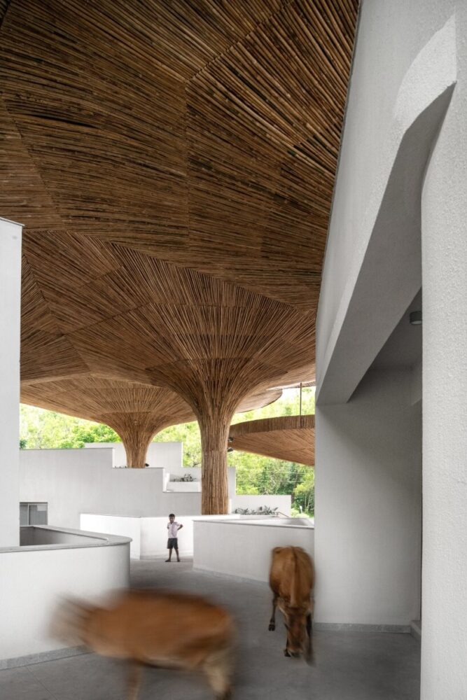 people and even cows can enter from any direction or level