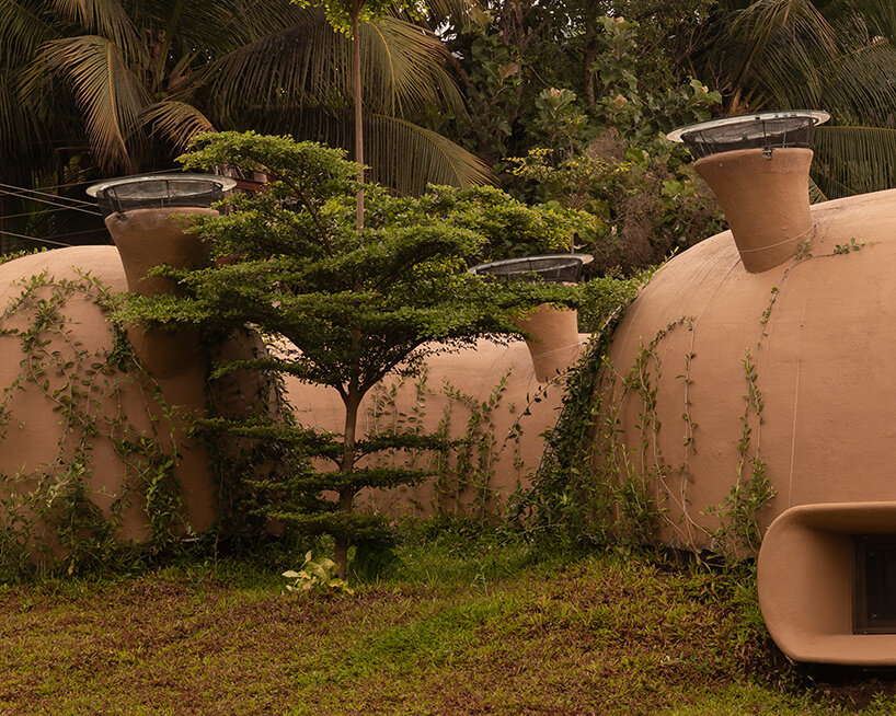 earthscape into wild