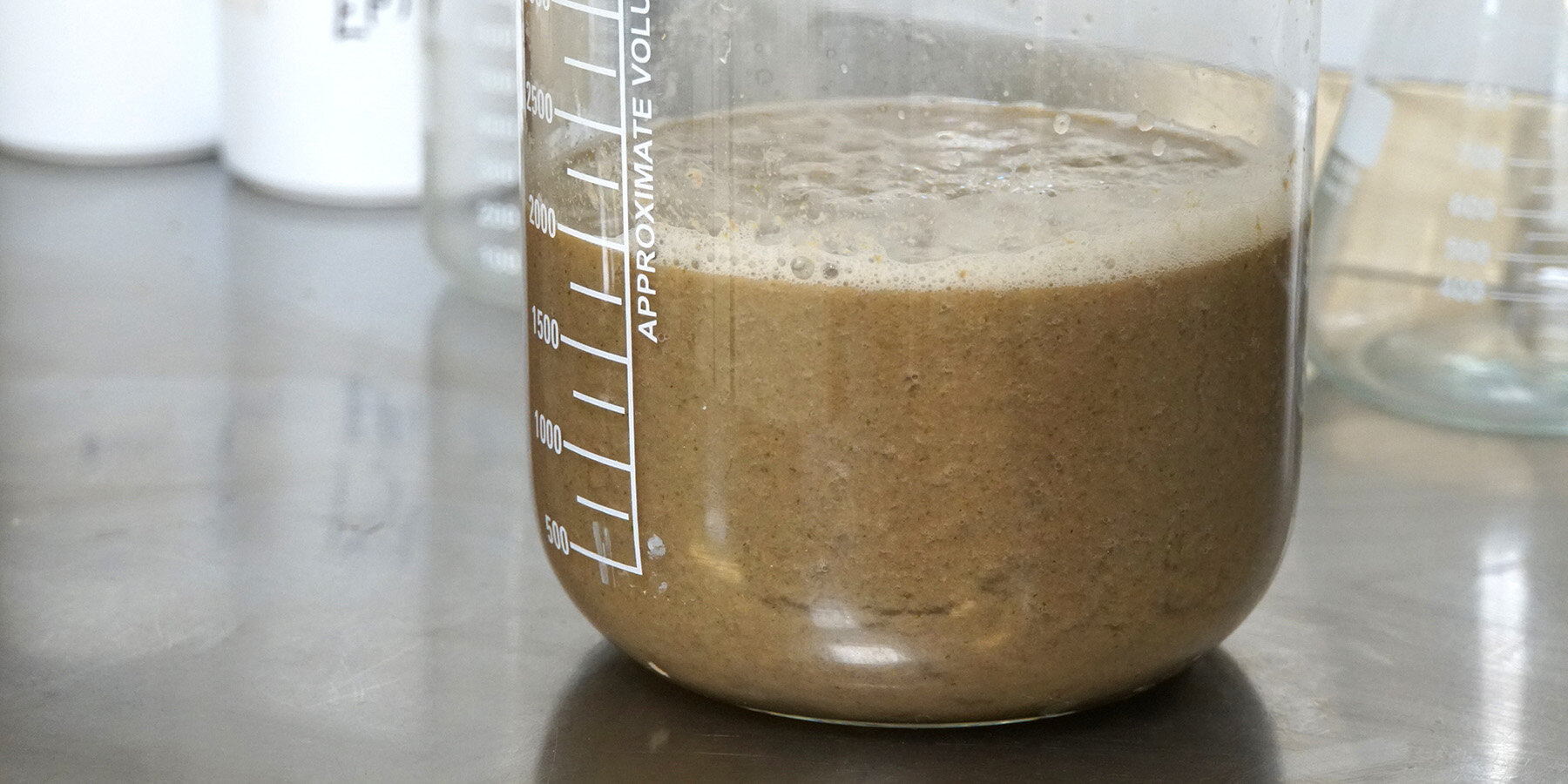 eco-friendly-packaging-bioregion-institute-barley-waste-and-seaweed-12-16-2024-designboom-1800-03