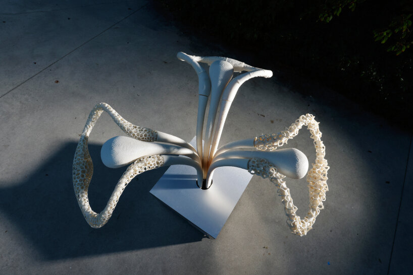 there's a flower-like sculpture references the shape of the LF-ZC’s steering wheel