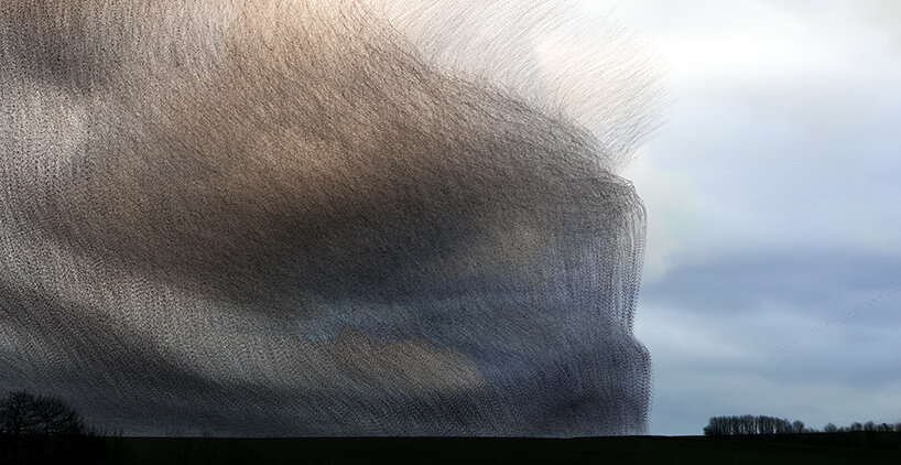 photography series by kathryn cooper maps aerial choreography of starling murmurations - 2