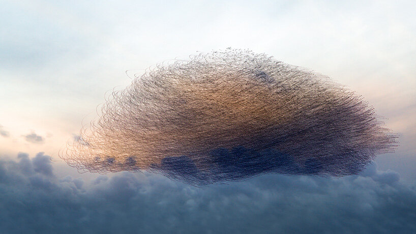 photography series by kathryn cooper maps aerial choreography of starling murmurations - 3