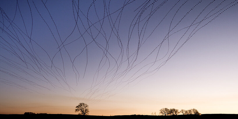 the birds weave intricate patterns across the sky