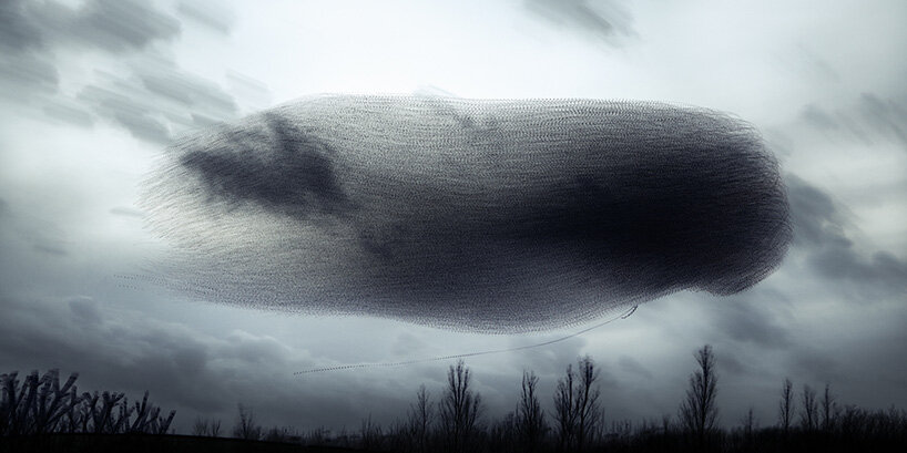 photography series by kathryn cooper maps aerial choreography of starling murmurations - 4