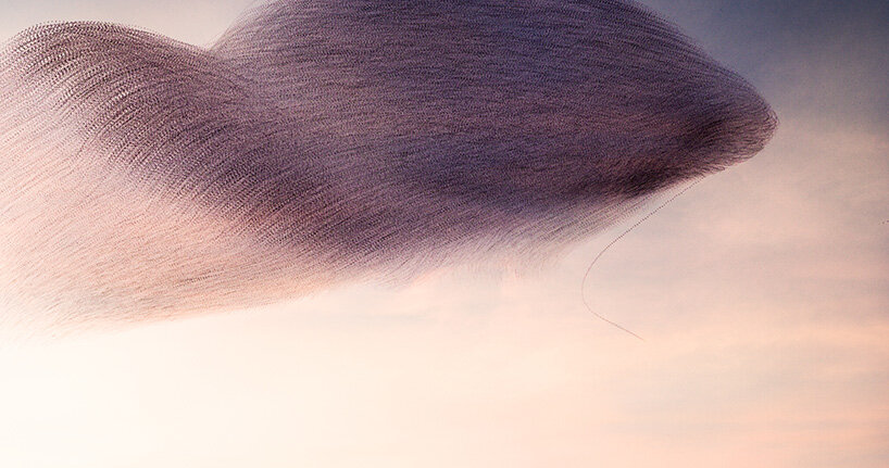 photography series by kathryn cooper maps aerial choreography of starling murmurations - 7